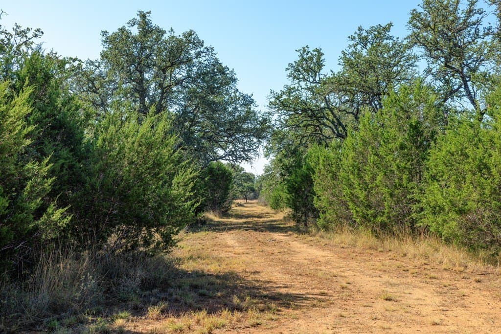28.24 acres in Blanco County - photo 38