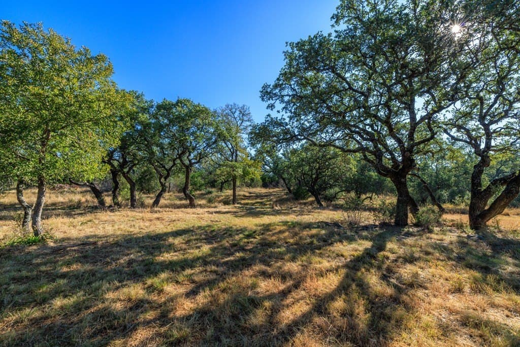 28.24 acres in Blanco County - photo 6