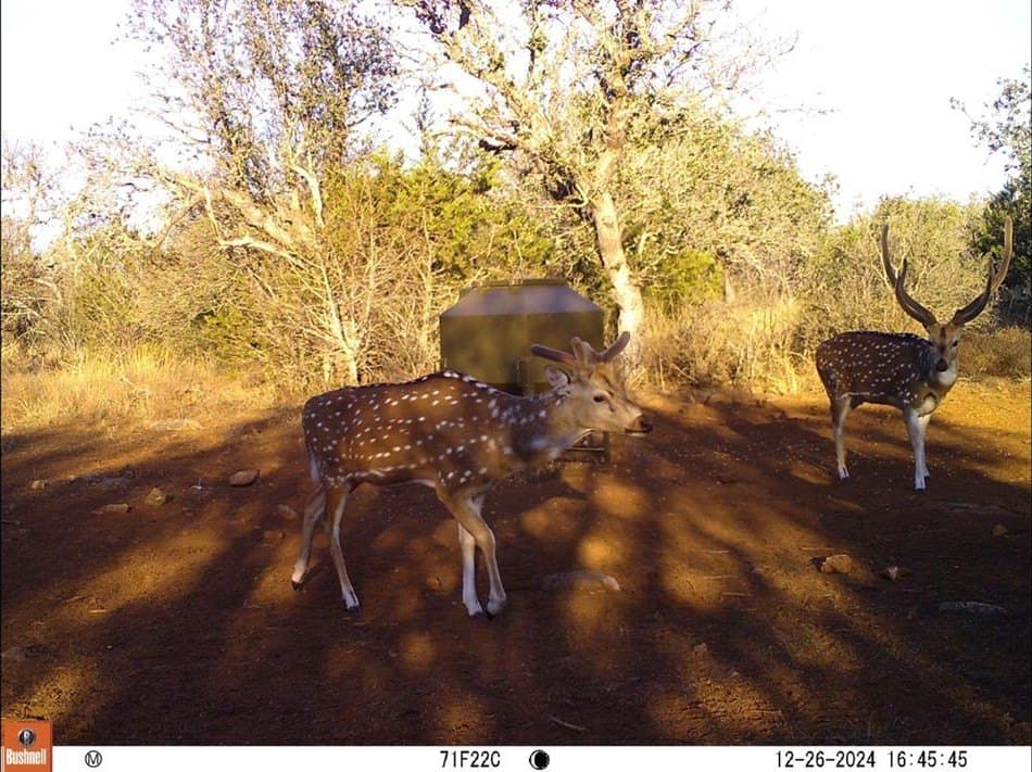28.24 acres in Blanco County - photo 24
