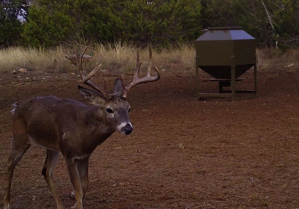 28.24 acres in Blanco County - photo 3