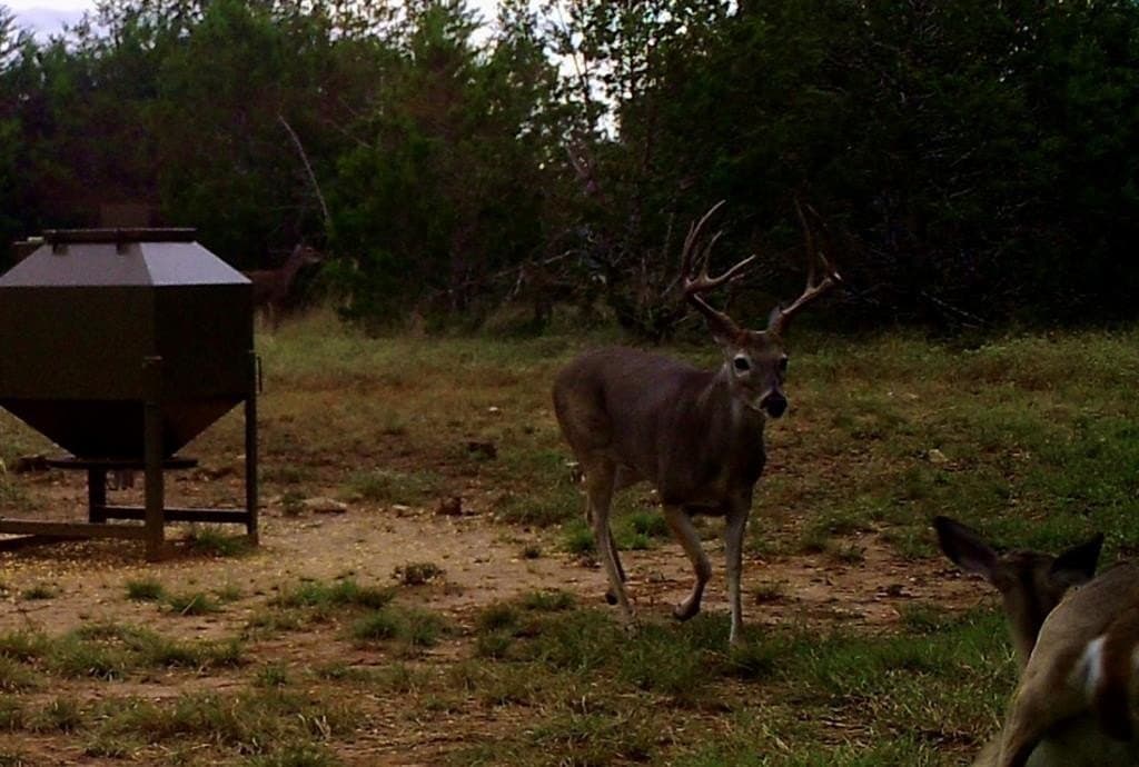 28.24 acres in Blanco County - photo 27