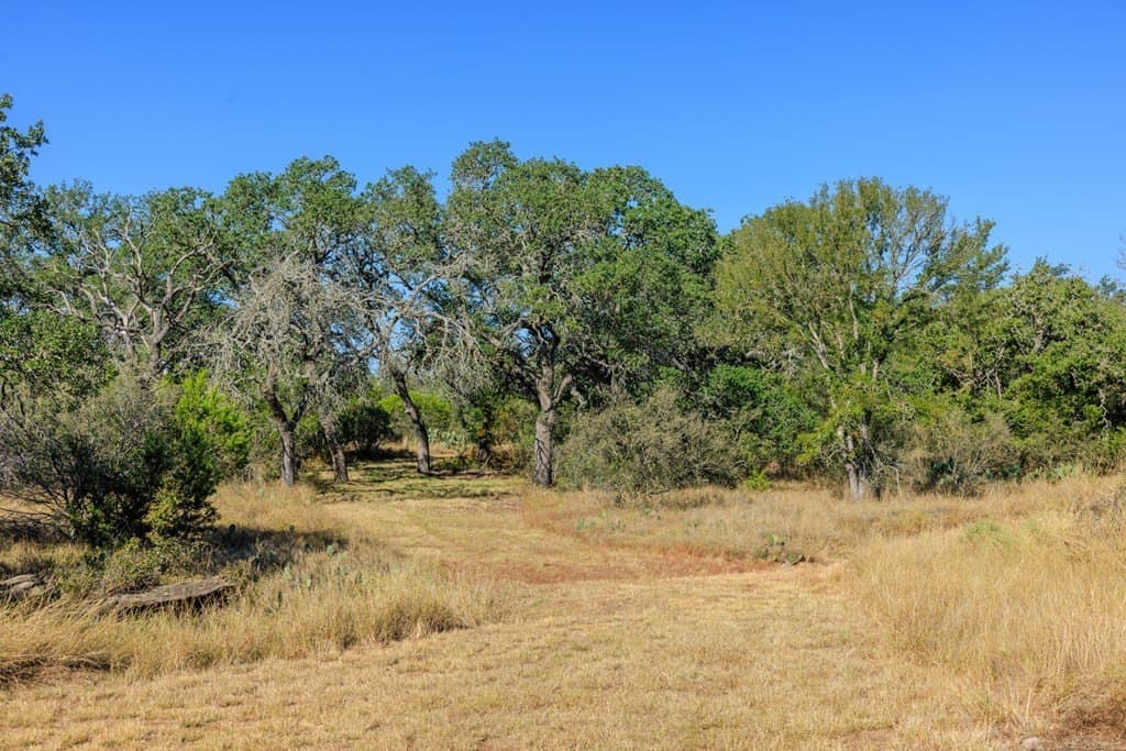 28.24 acres in Blanco County - photo 36
