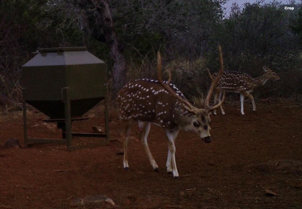 28.24 acres in Blanco County - photo 2