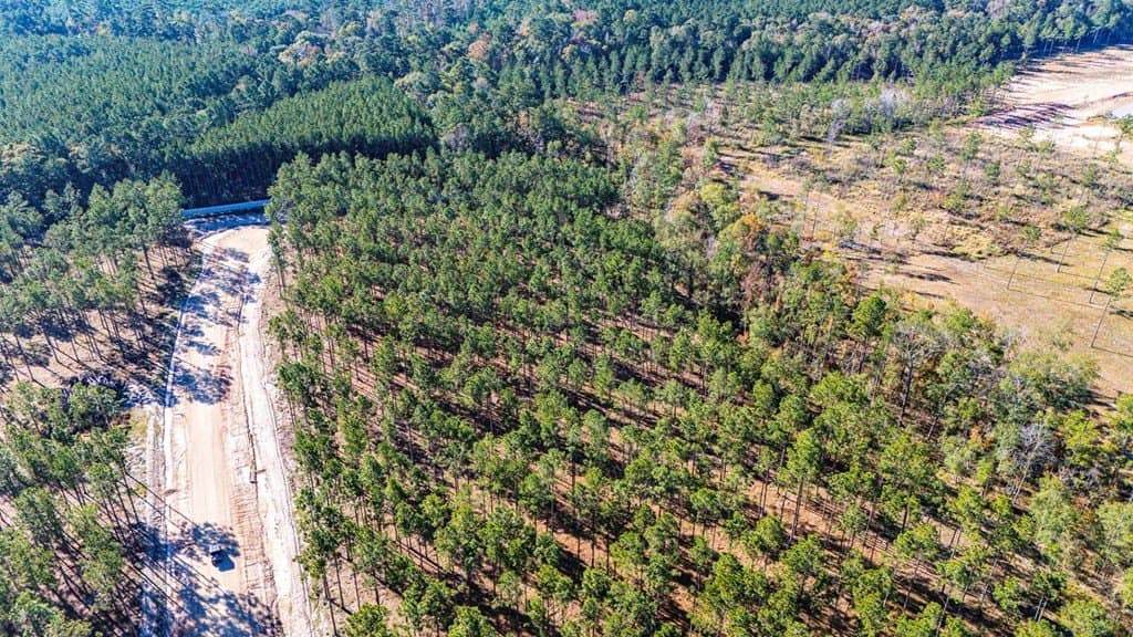 5.81 acres in Texas County gallery image 2