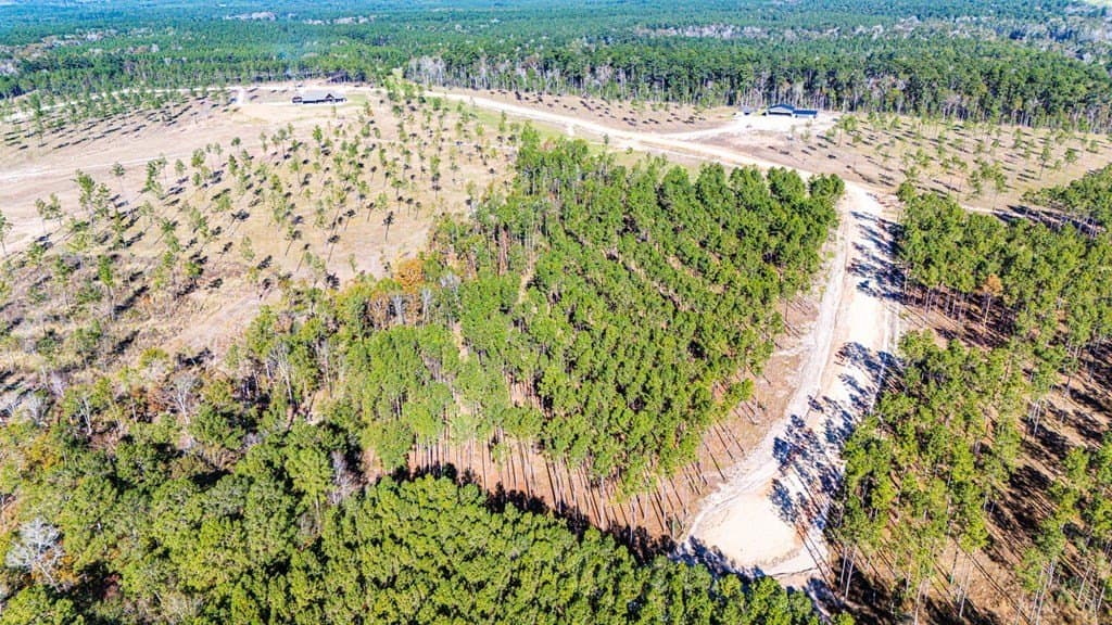 5.81 acres in Texas County featured view