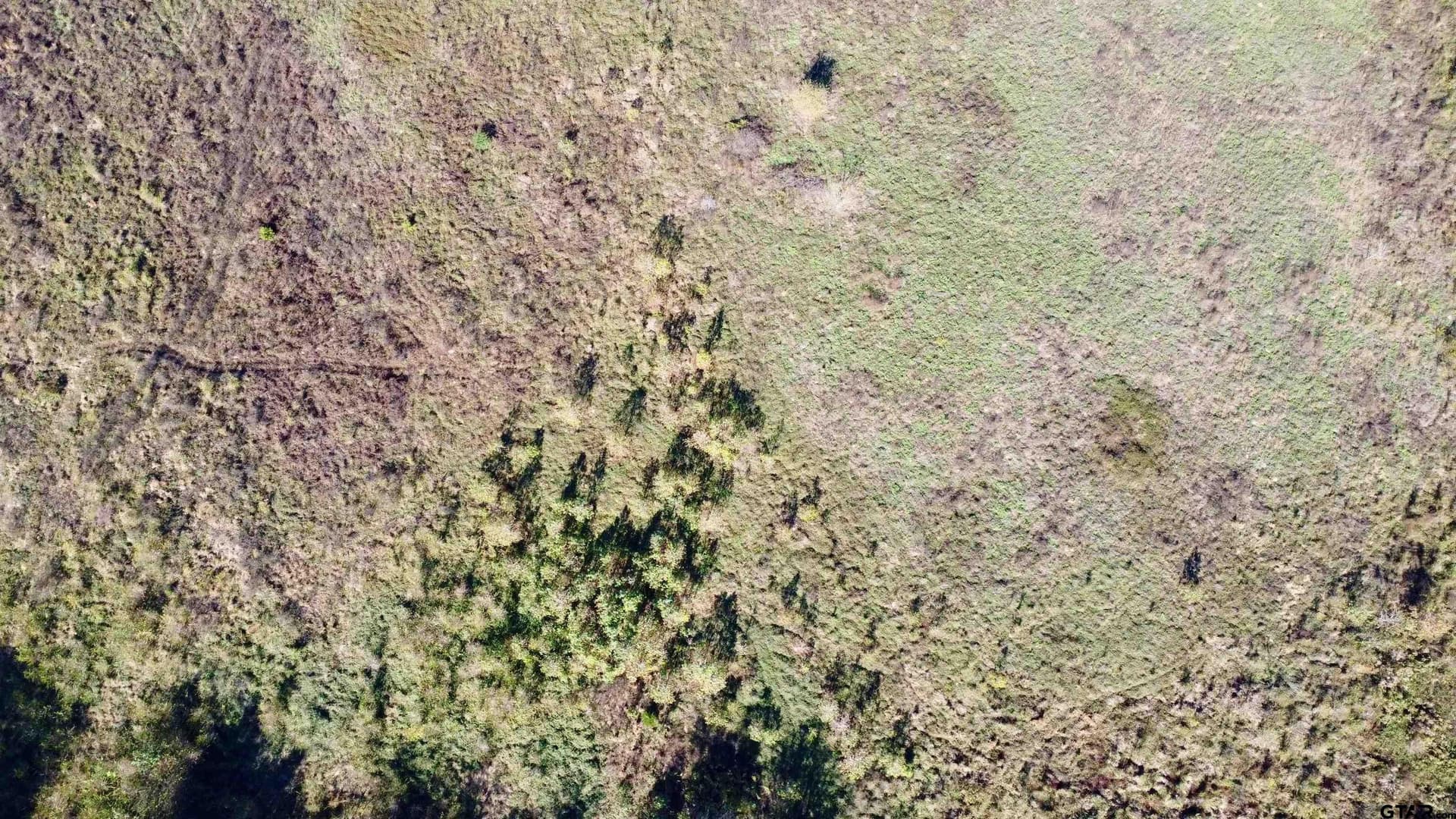 15.8 acres in Titus County gallery image 2