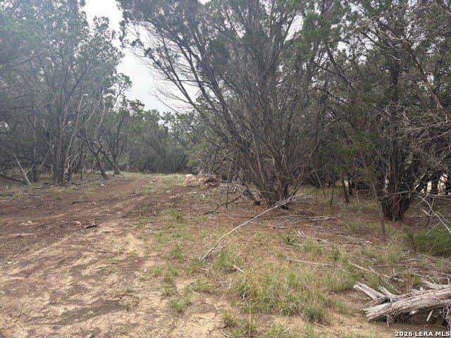 6 acres in Kendall County gallery image 4