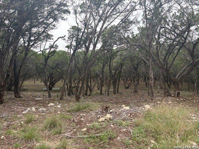 6 acres in Kendall County - photo 7
