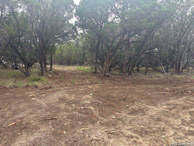 6 acres in Kendall County gallery image 3