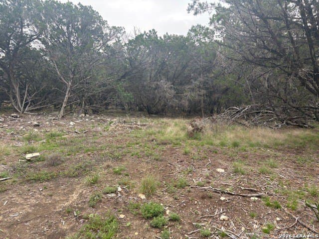 6 acres in Kendall County - photo 9