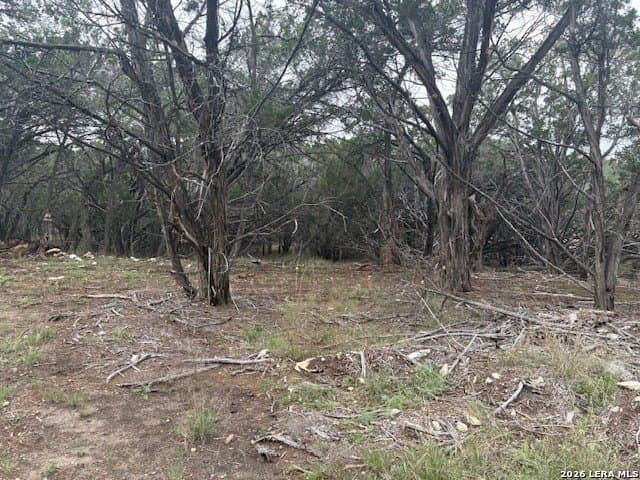 6 acres in Kendall County - photo 6