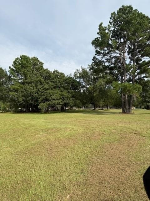 10.04 acres in Freestone County gallery image 4