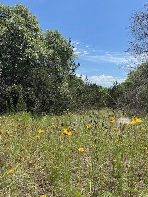 1.01 acres in Erath County - photo 19