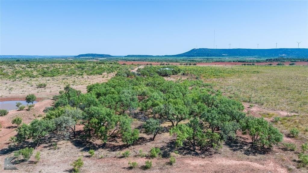 158.05 acres in Taylor County featured view