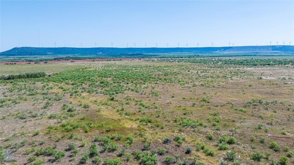 158.05 acres in Taylor County gallery image 4