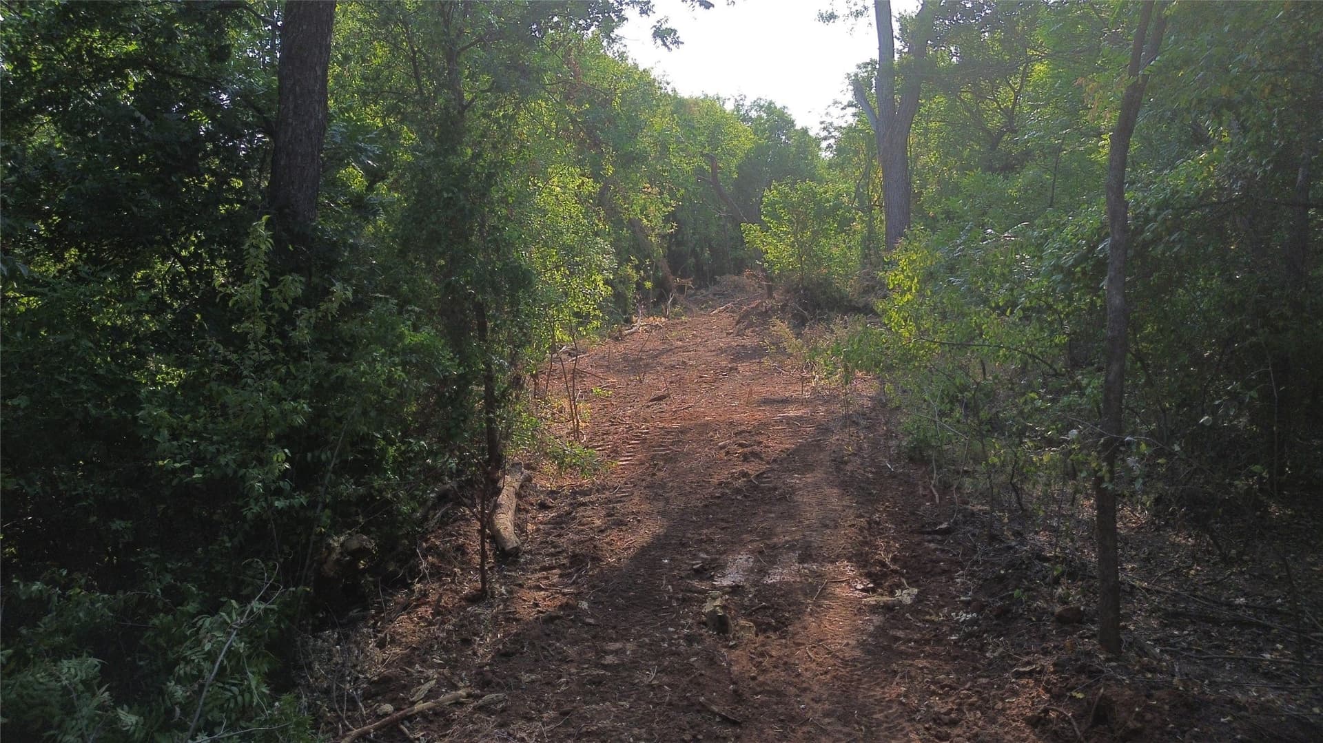 391 acres in Clay County - photo 13