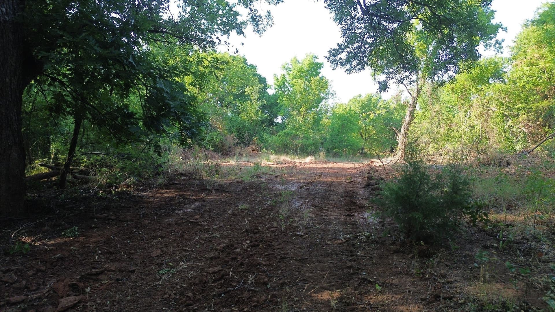 391 acres in Clay County - photo 18