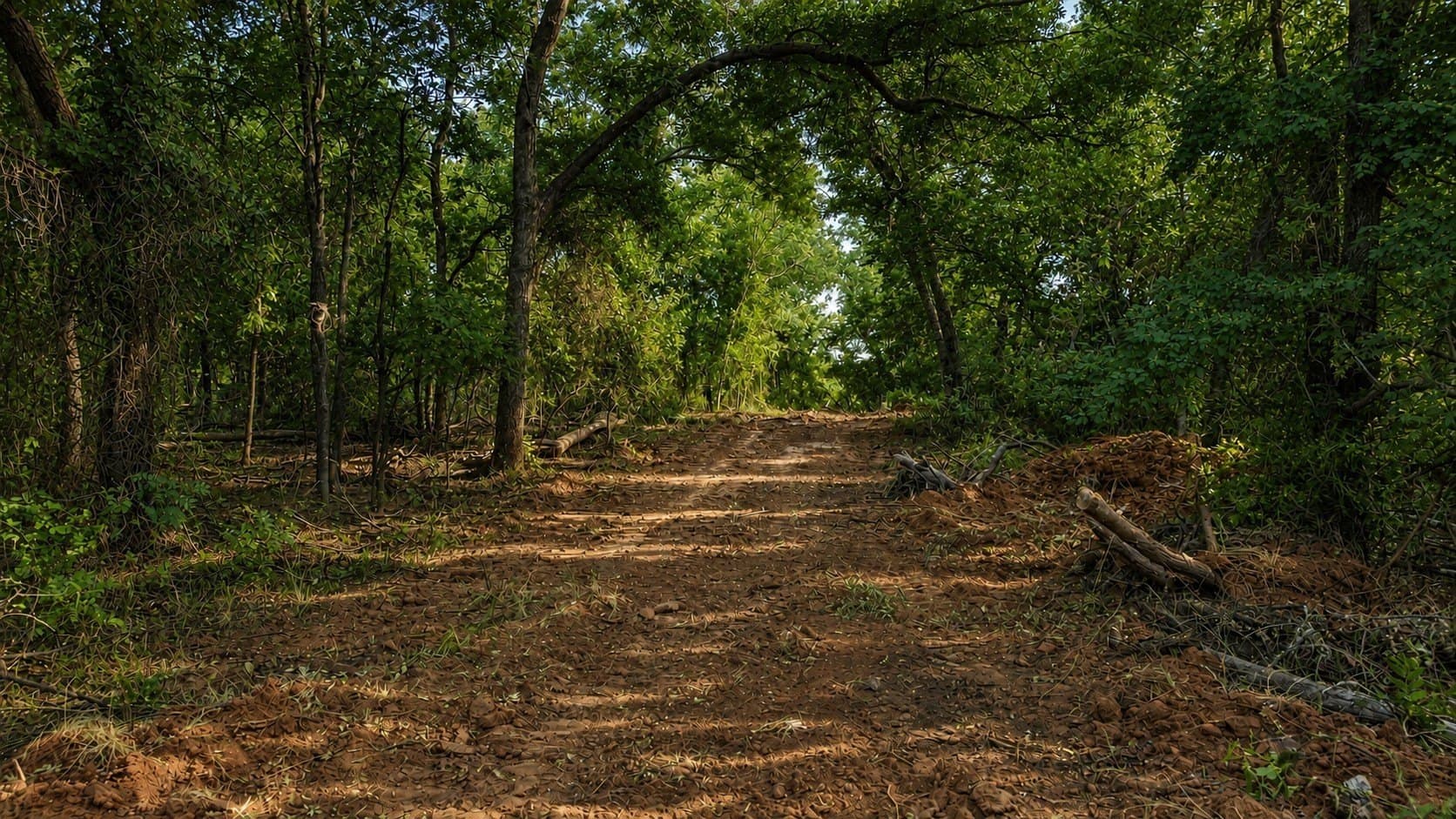 391 acres in Clay County - photo 29