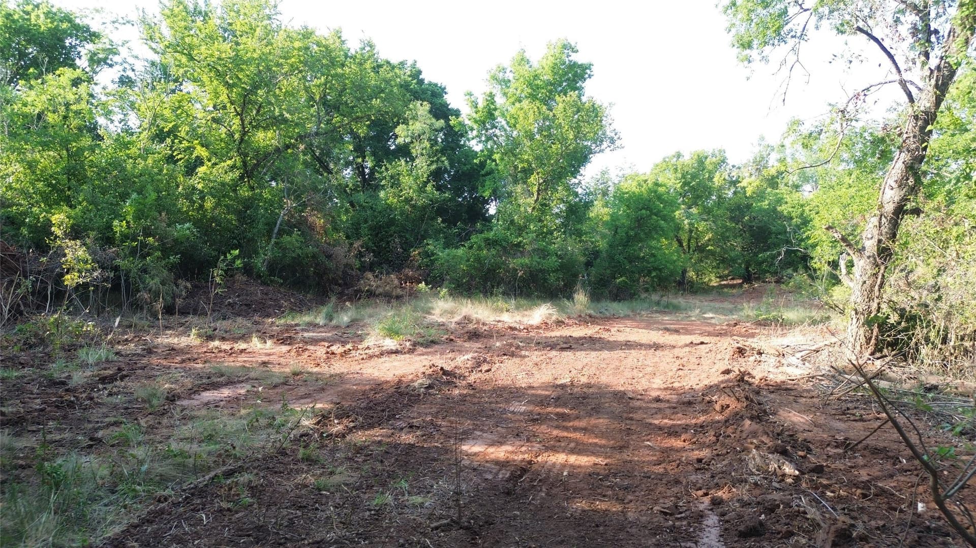 391 acres in Clay County - photo 34