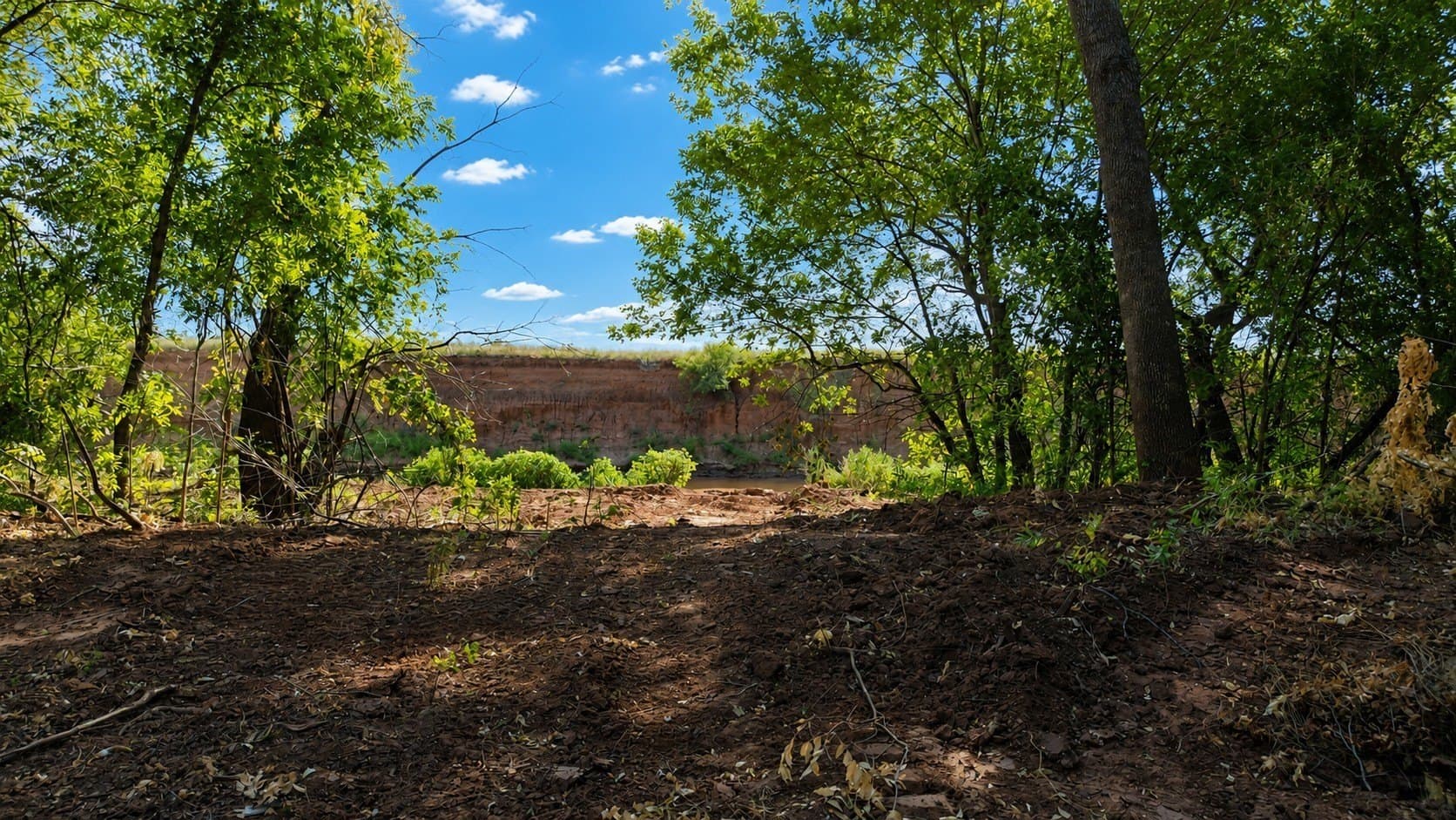 391 acres in Clay County - photo 26