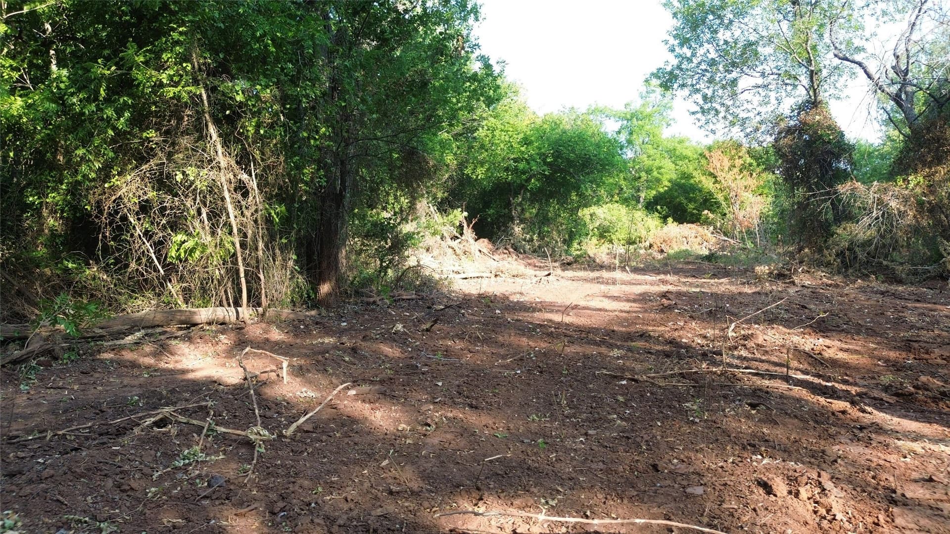 391 acres in Clay County - photo 36