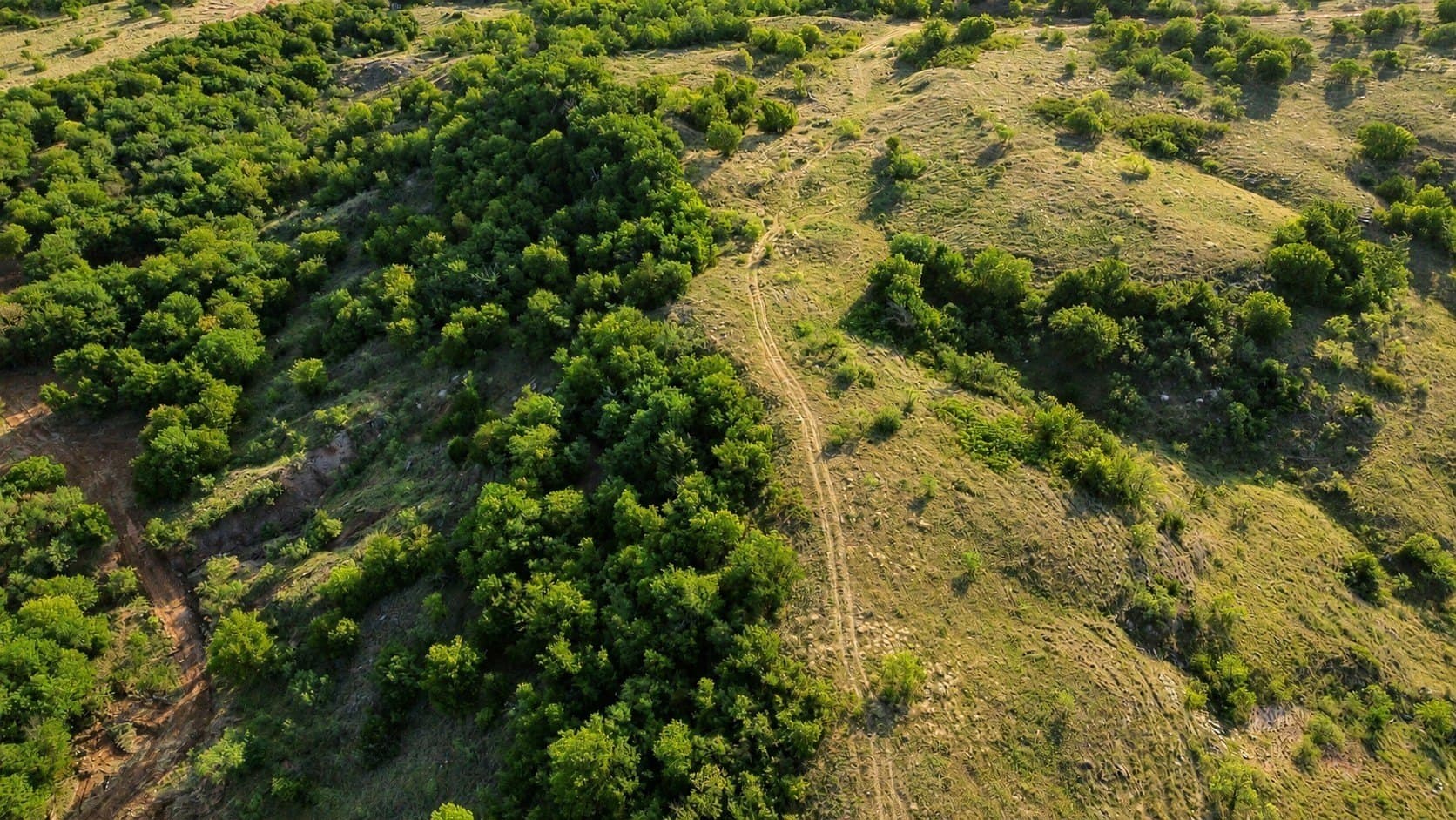 391 acres in Clay County - photo 25