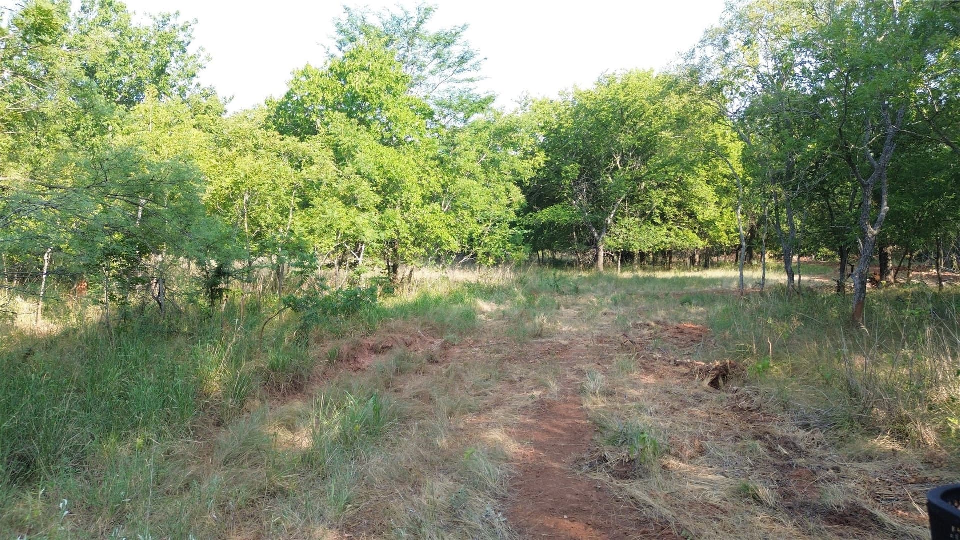 391 acres in Clay County - photo 27