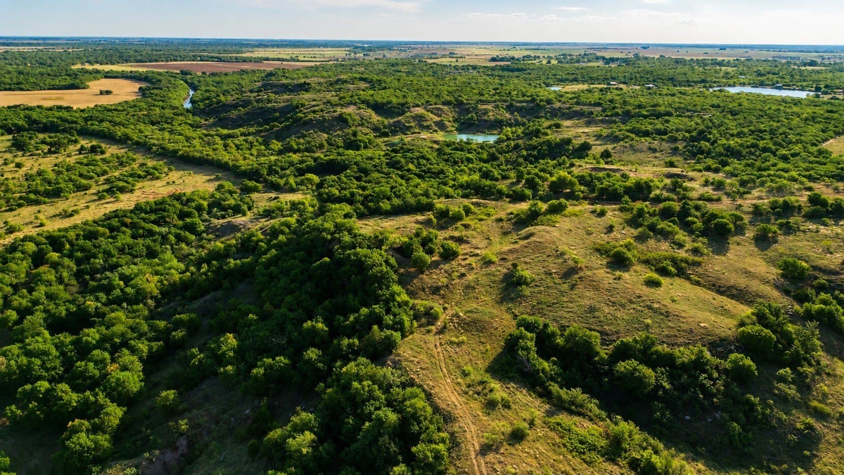 391 acres in Clay County - photo 24