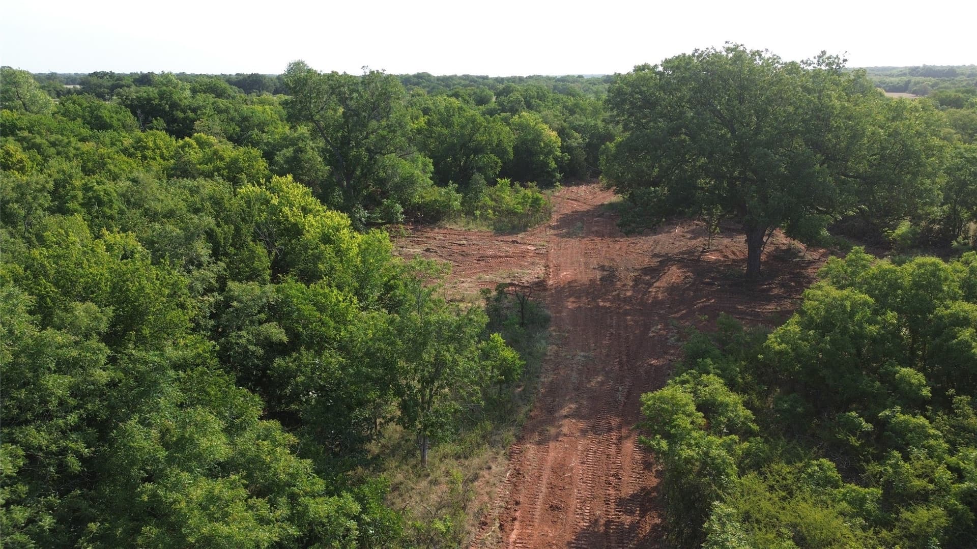 391 acres in Clay County - photo 9