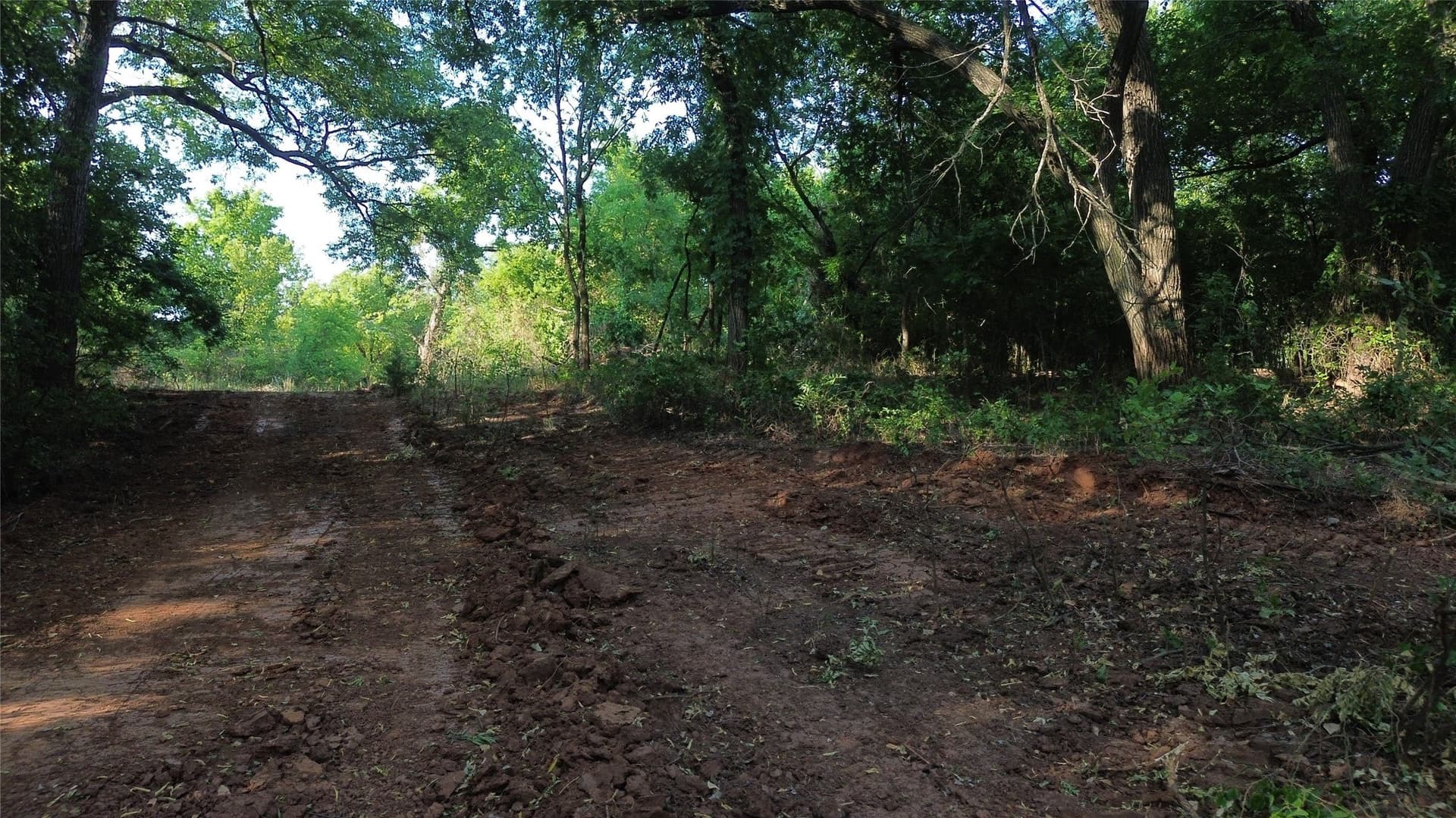 391 acres in Clay County - photo 21