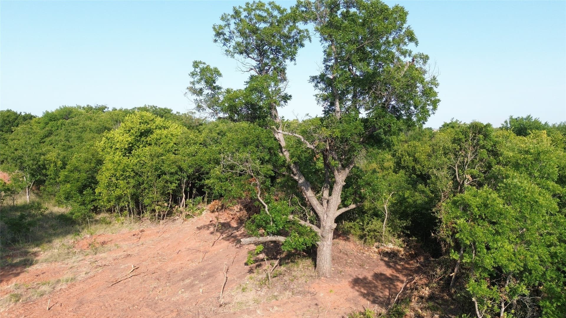 391 acres in Clay County - photo 39