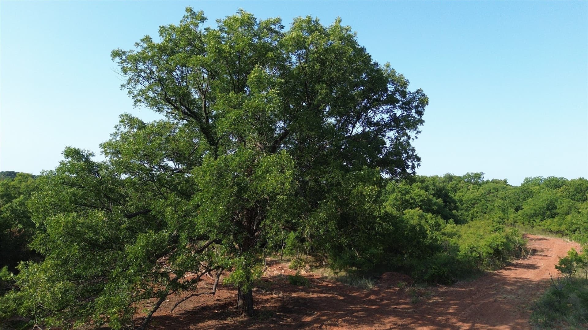 391 acres in Clay County - photo 11