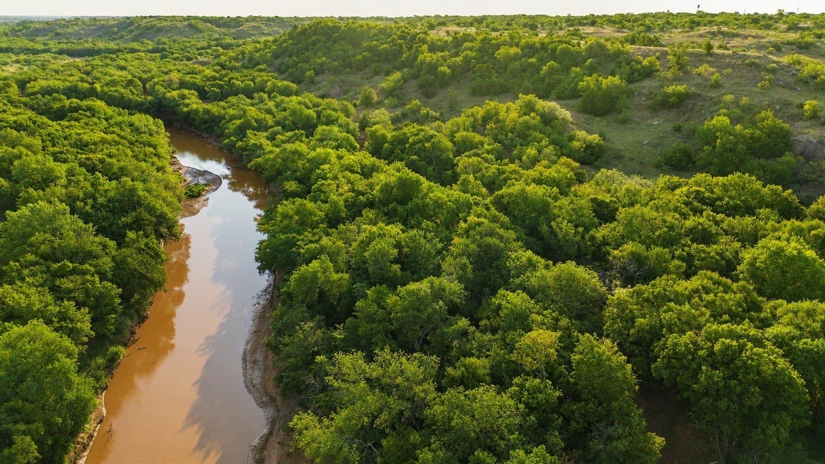 391 acres in Clay County - photo 17