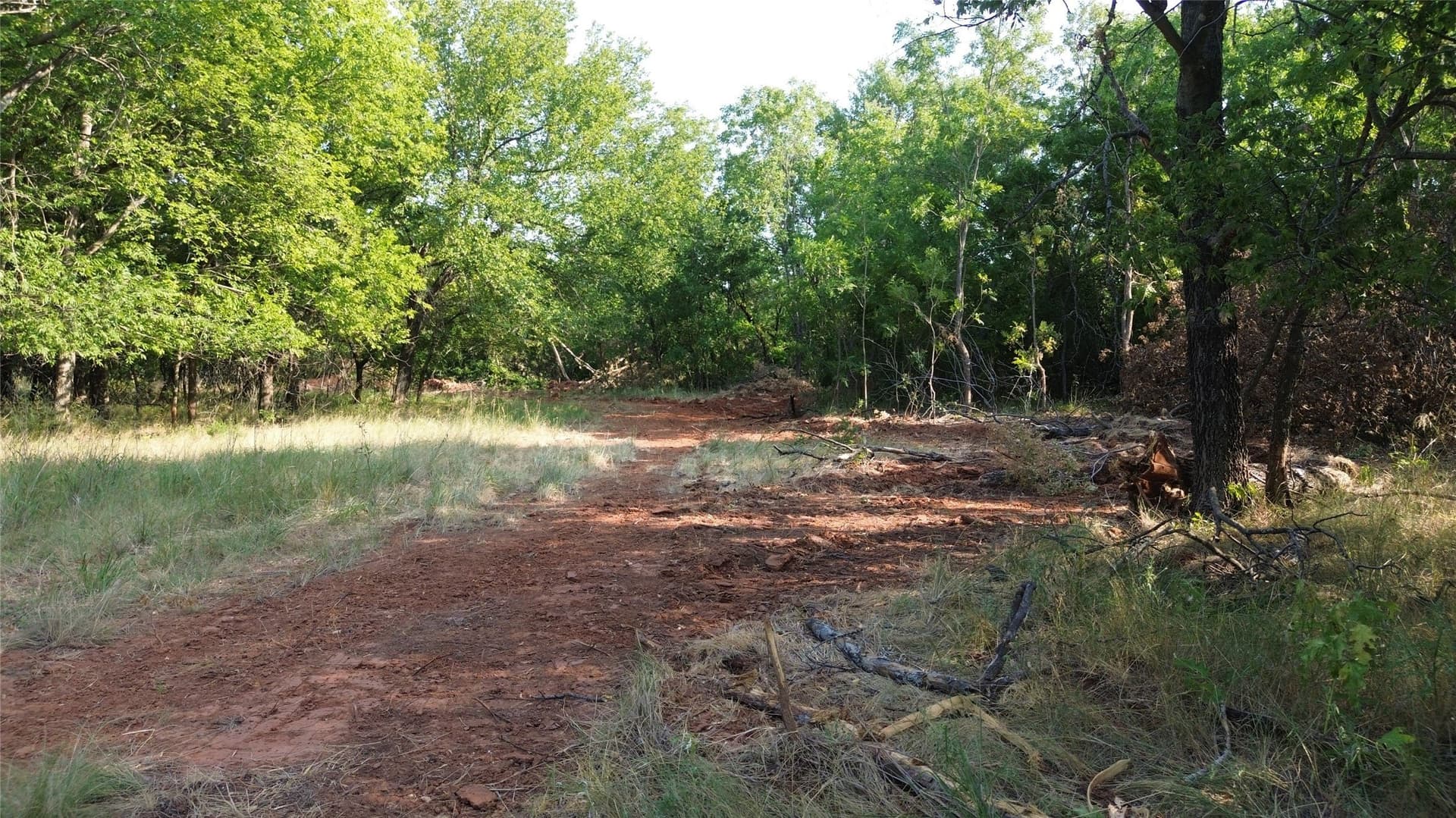 391 acres in Clay County - photo 37