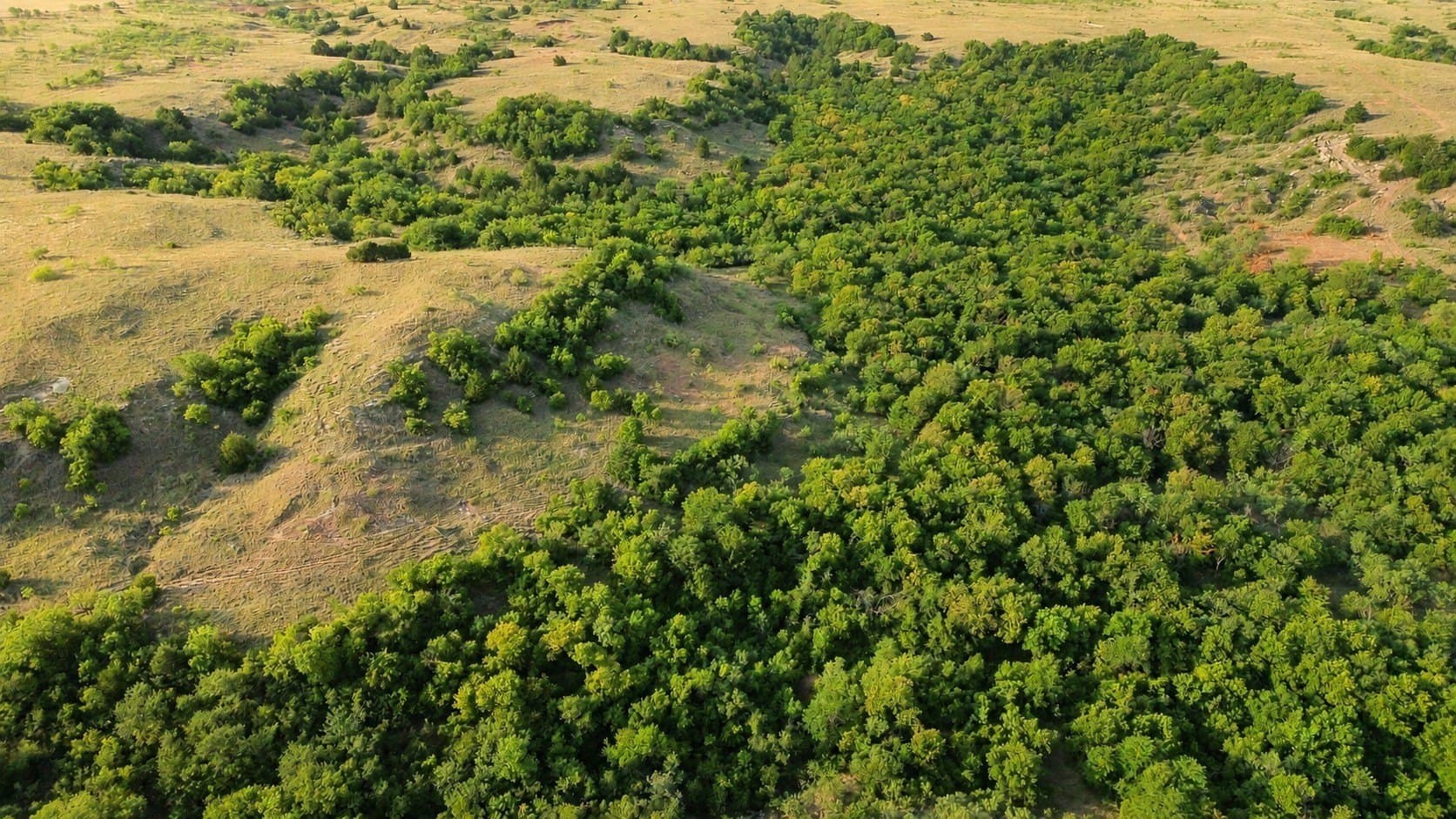 391 acres in Clay County - photo 23