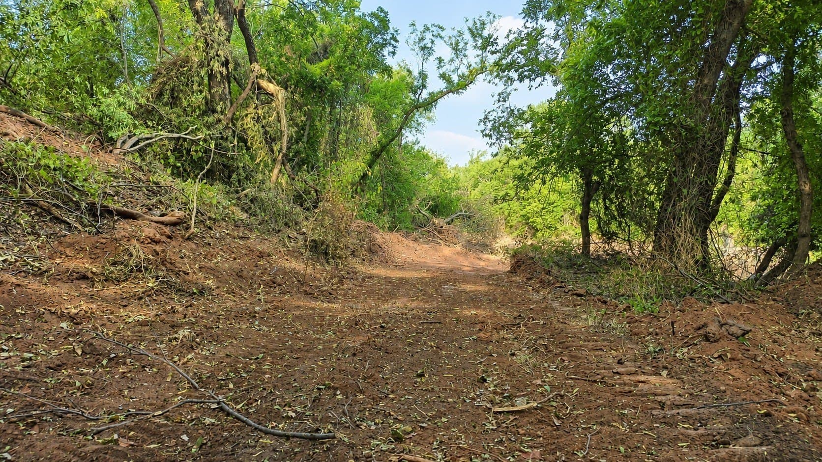 391 acres in Clay County - photo 7