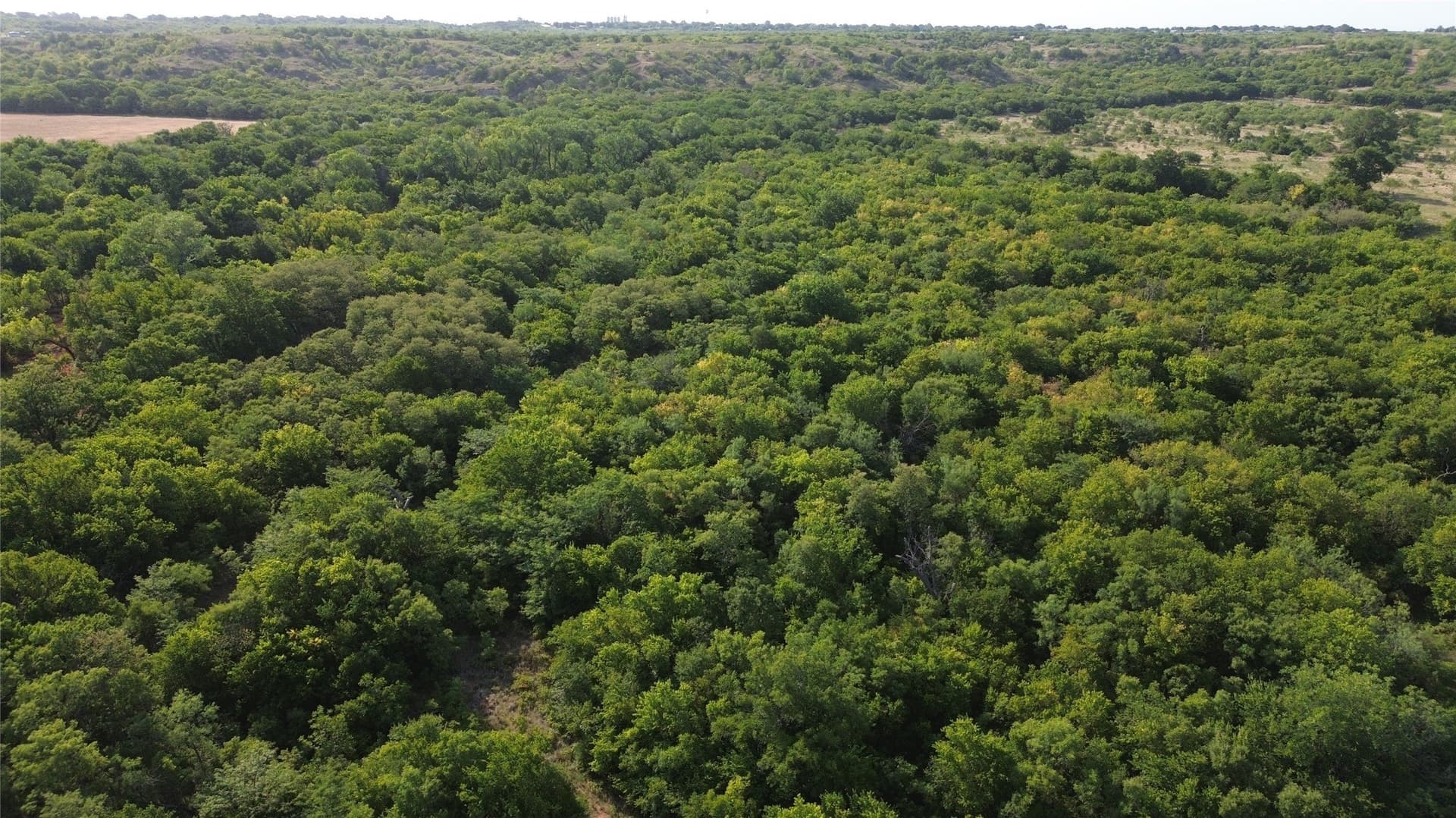 391 acres in Clay County - photo 5