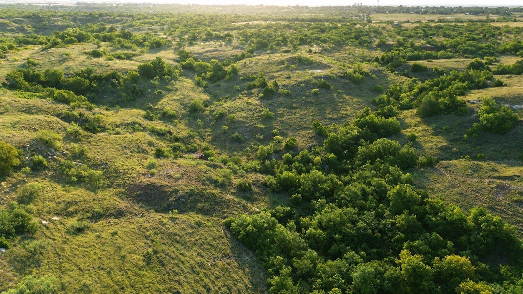 391 acres in Clay County - photo 3