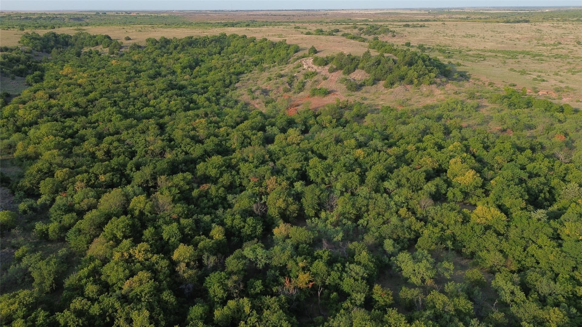 391 acres in Clay County - photo 30