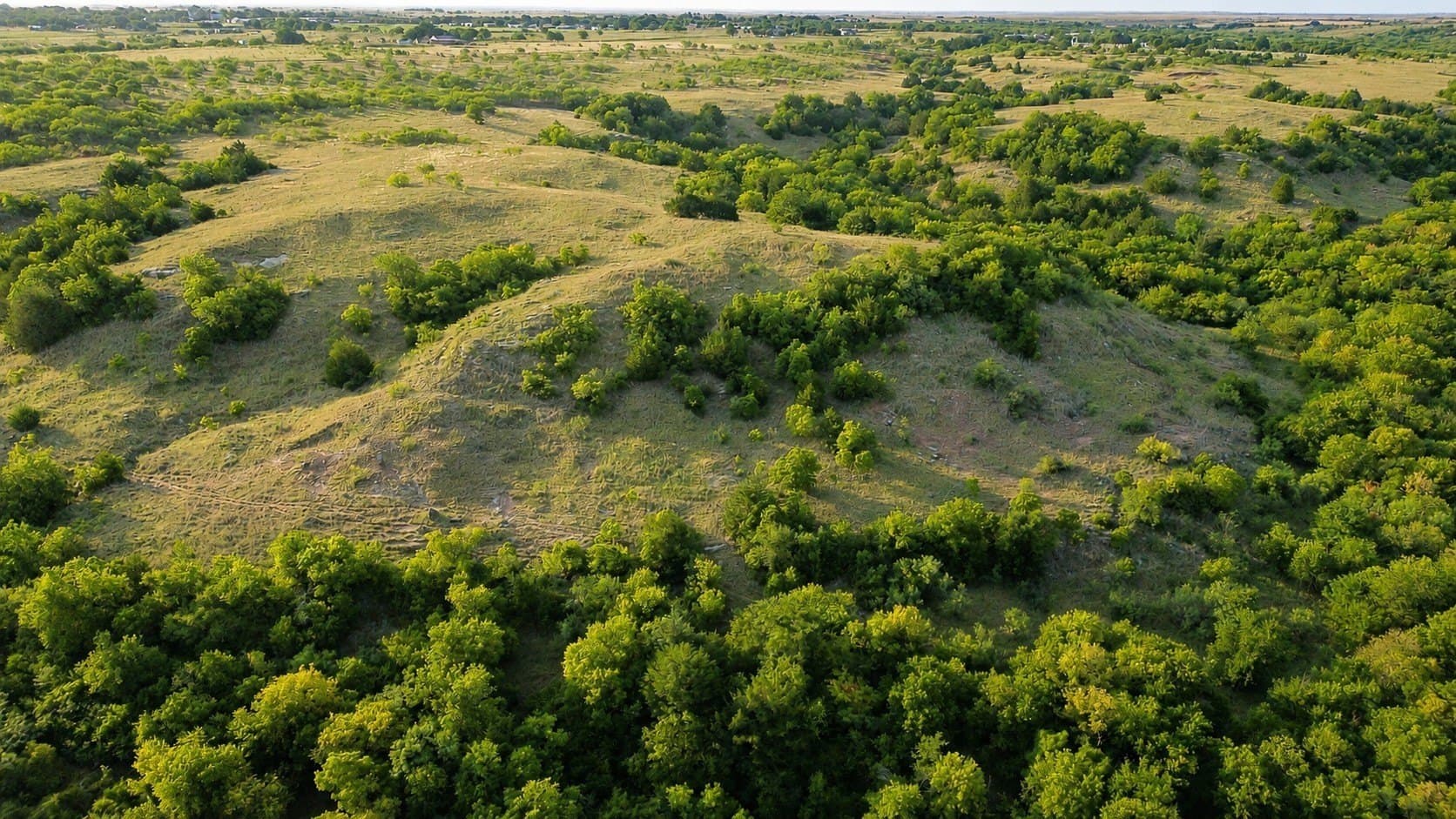 391 acres in Clay County - photo 15