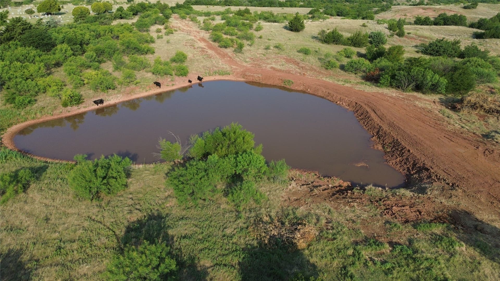 391 acres in Clay County - photo 4