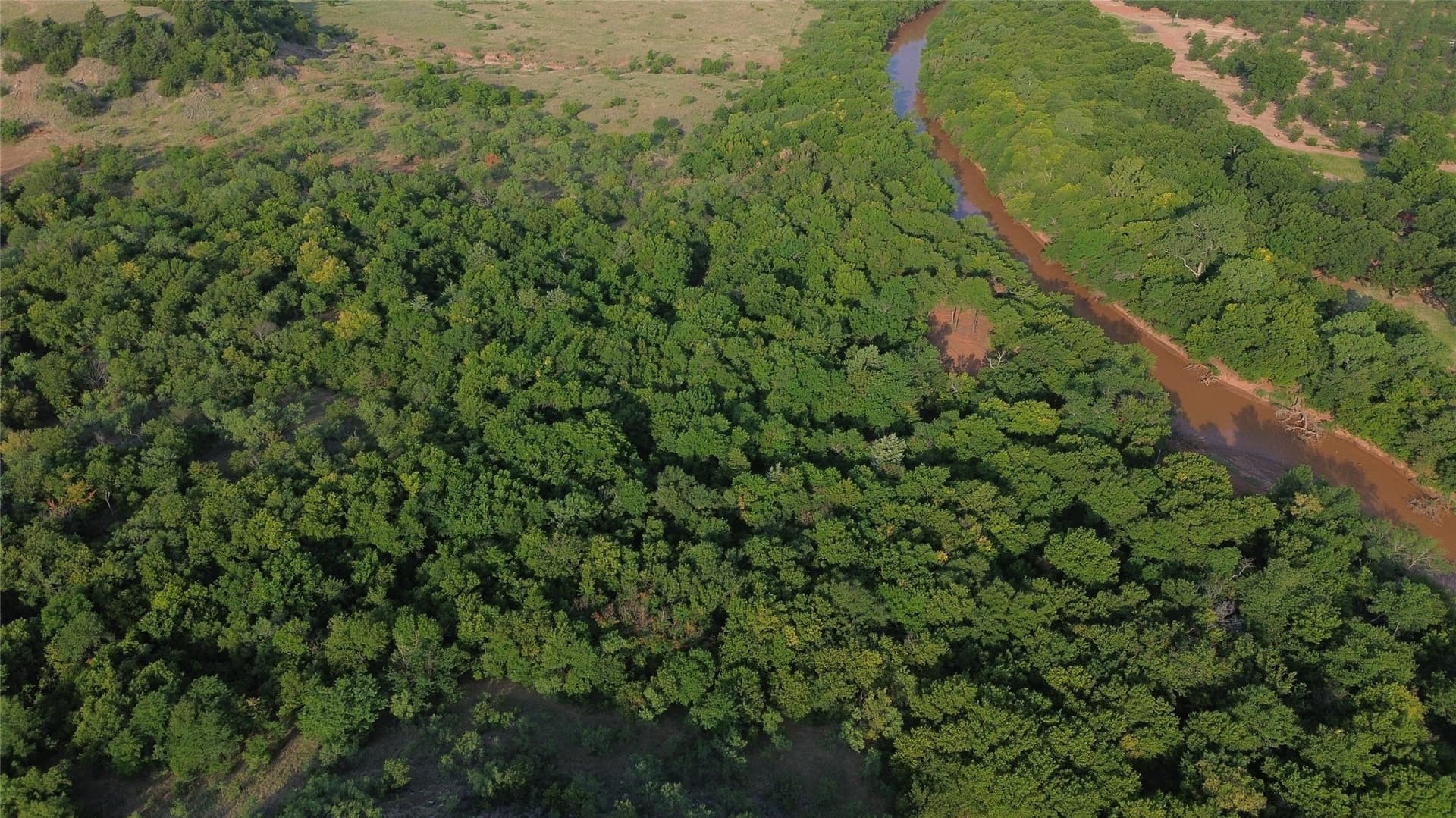 391 acres in Clay County - photo 31