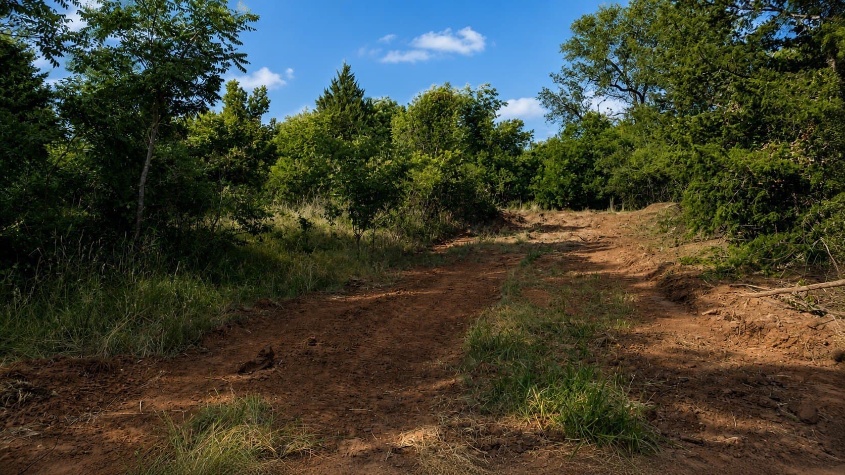 391 acres in Clay County - photo 28