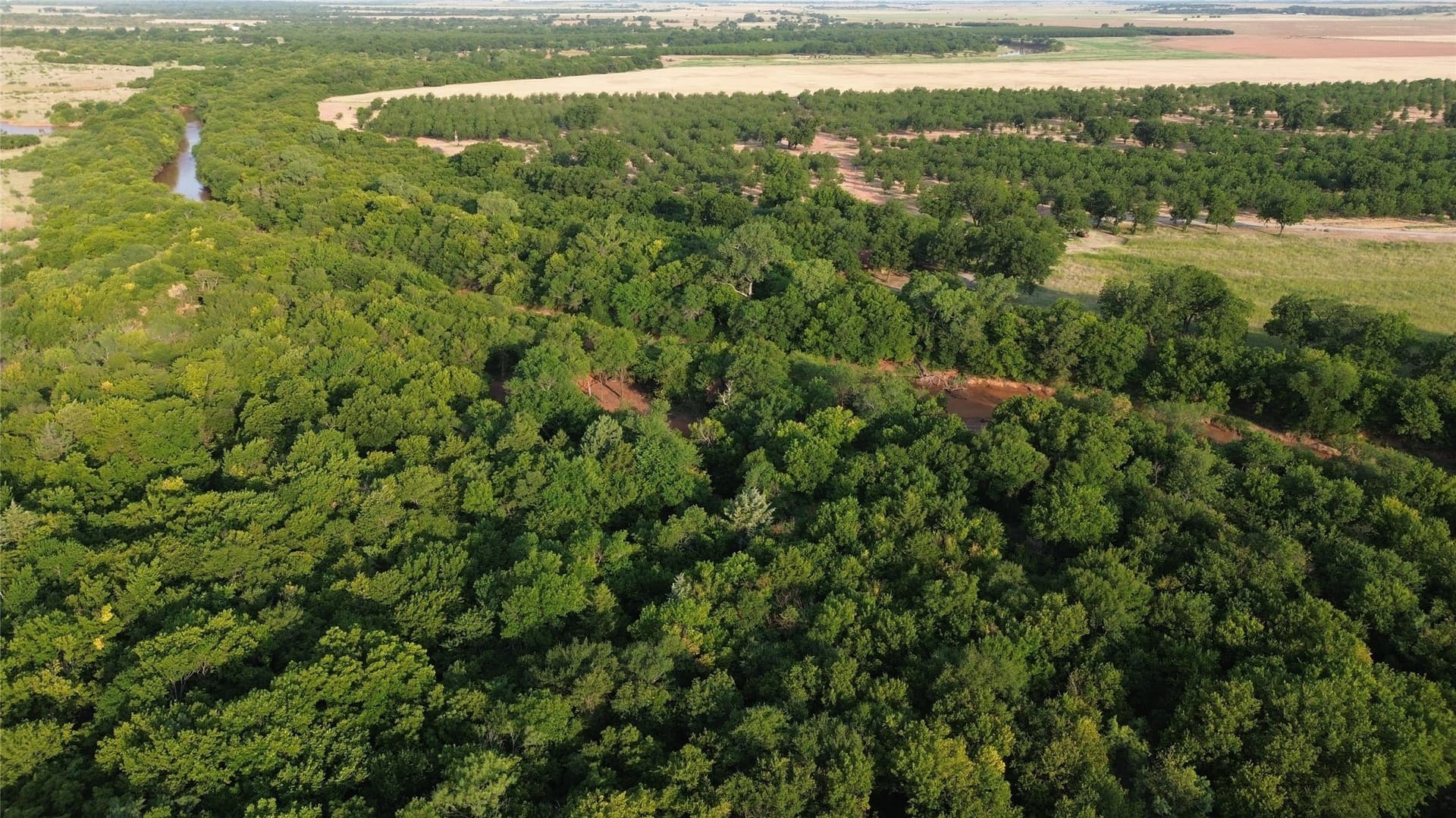 391 acres in Clay County - photo 6