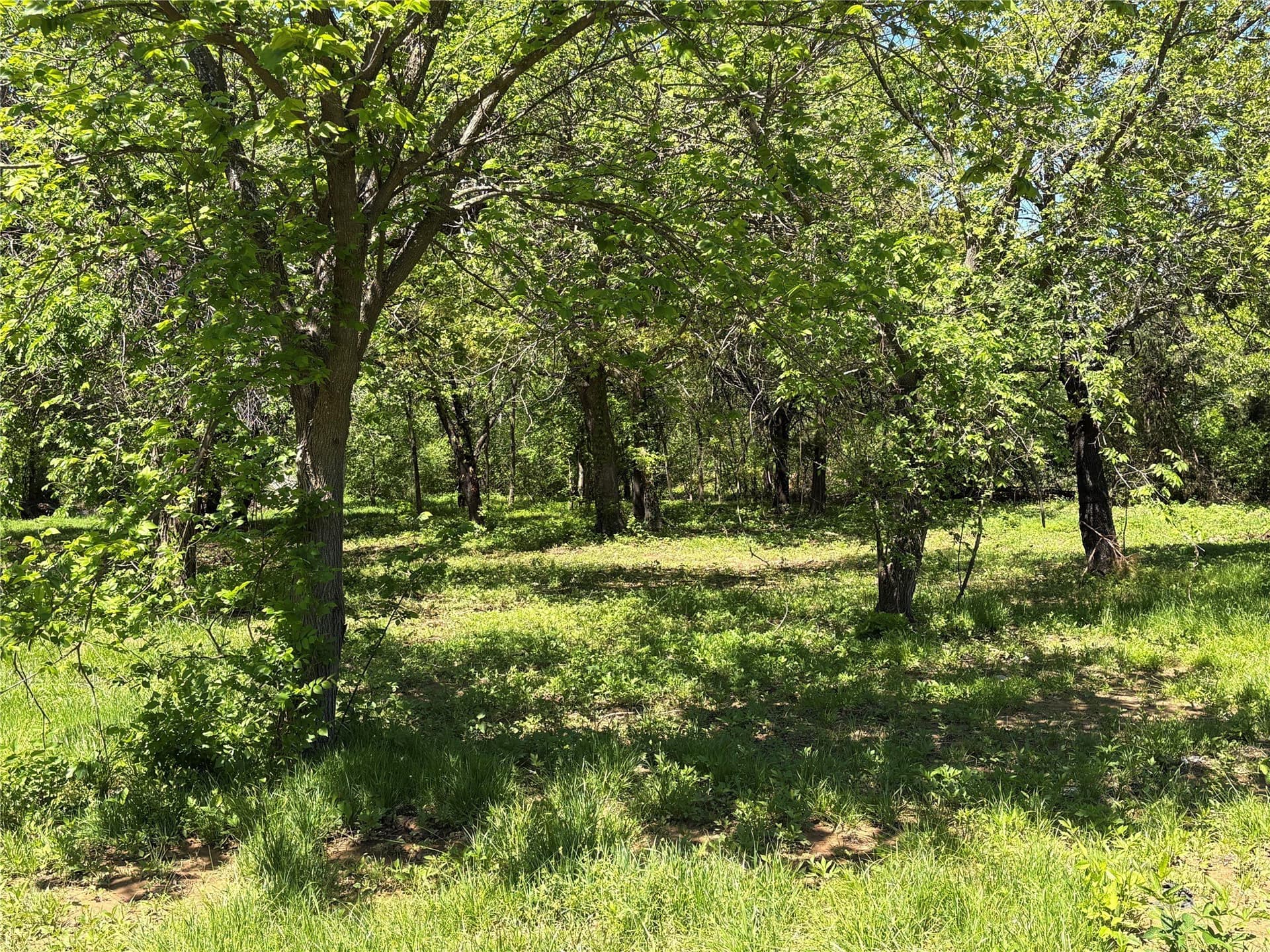 2.38 acres in Cooke County - photo 4