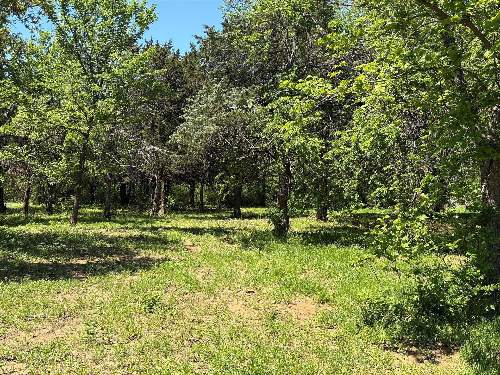 2.38 acres in Cooke County - photo 2