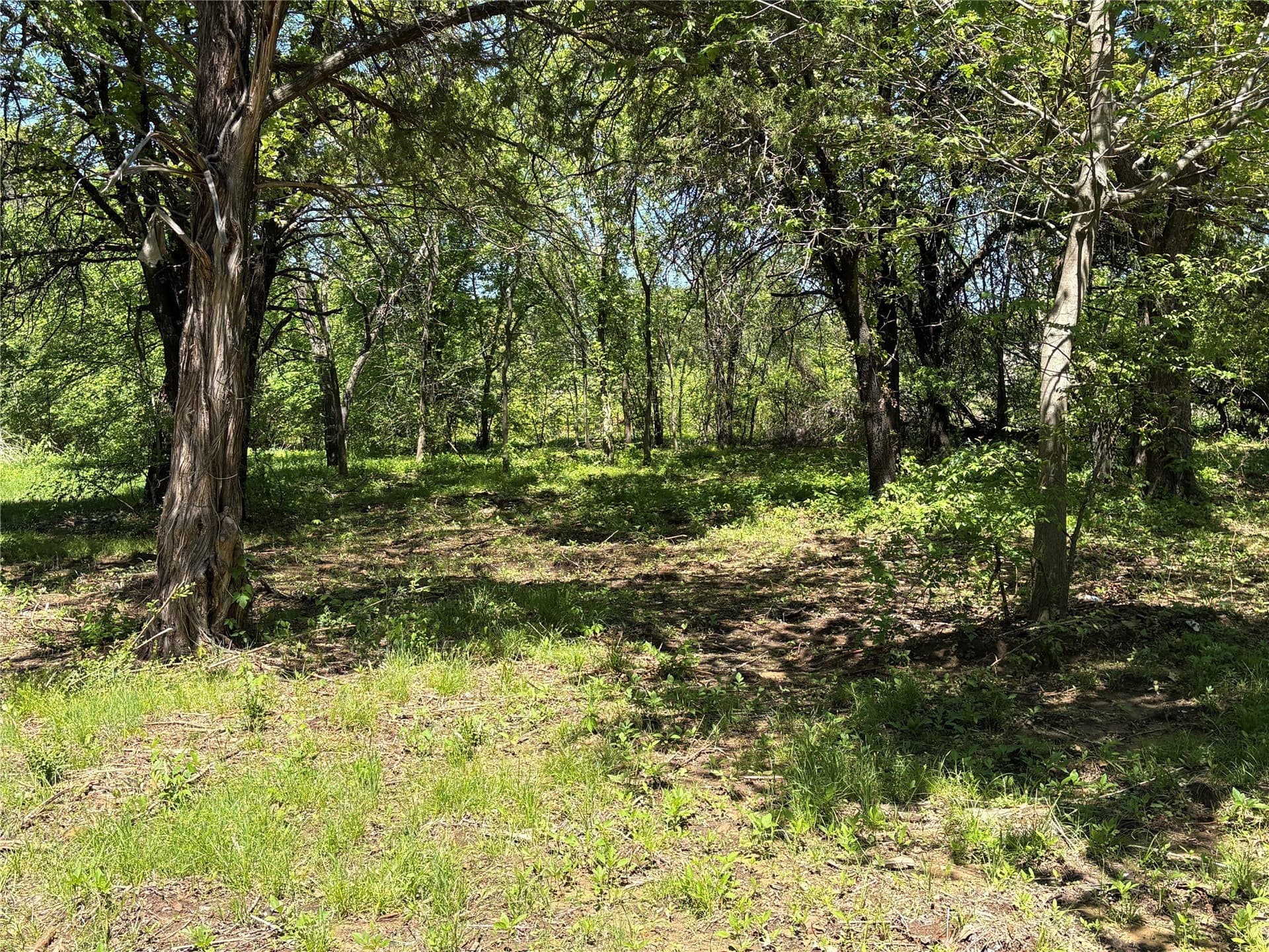 2.38 acres in Cooke County - photo 3