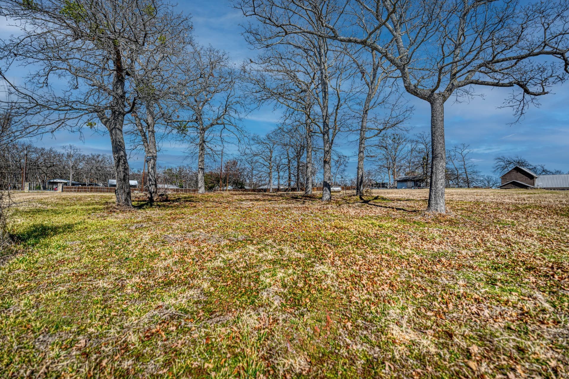 2.3 acres in Henderson County gallery image 3