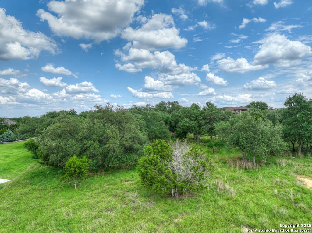 1.01 acres in Comal County gallery image 2