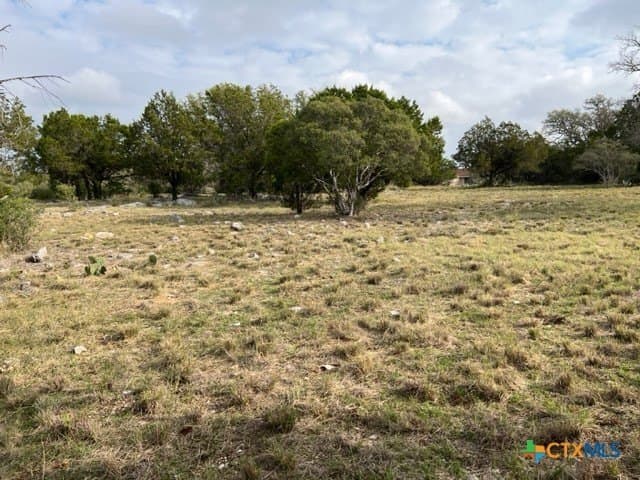 0.24 acres in Llano County - photo 7